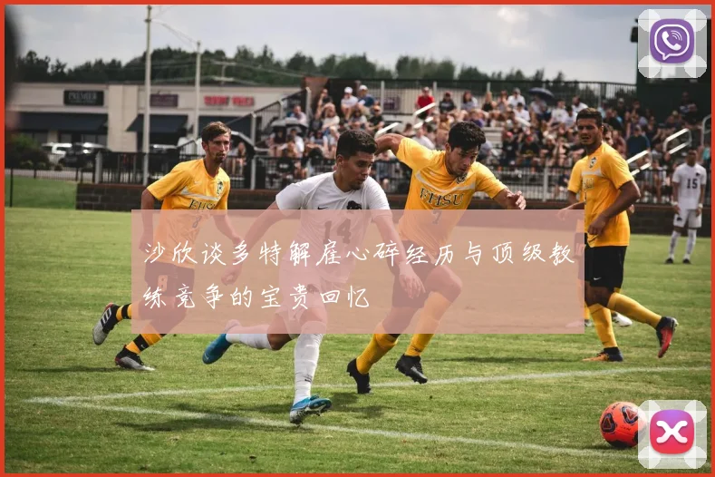 沙欣谈多特解雇心碎经历与顶级教练竞争的宝贵回忆
